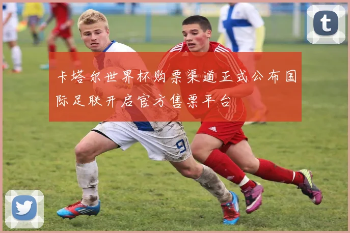 卡塔尔世界杯购票渠道正式公布国际足联开启官方售票平台