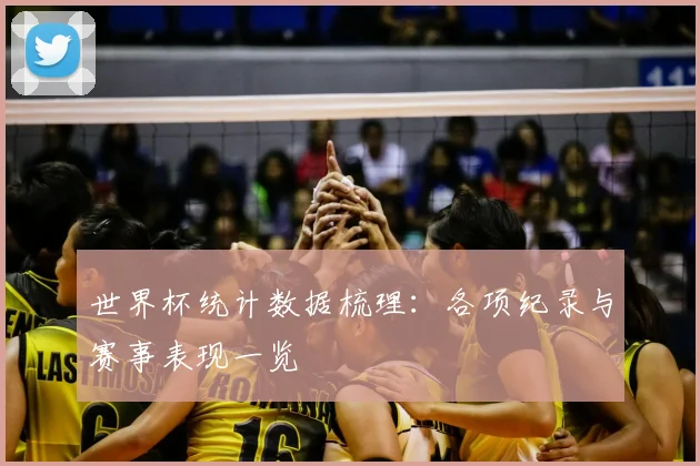世界杯统计数据梳理:各项纪录与赛事表现一览