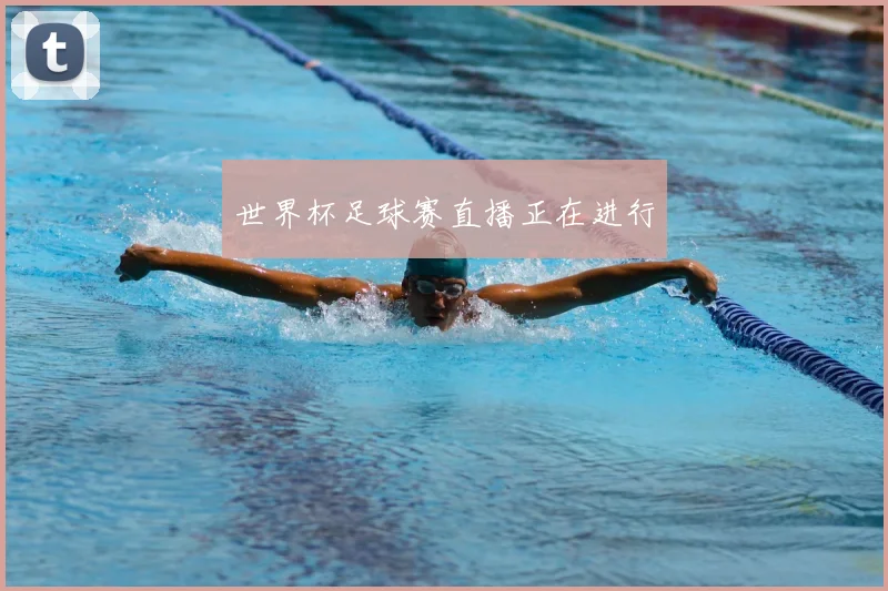 世界杯足球赛直播正在进行